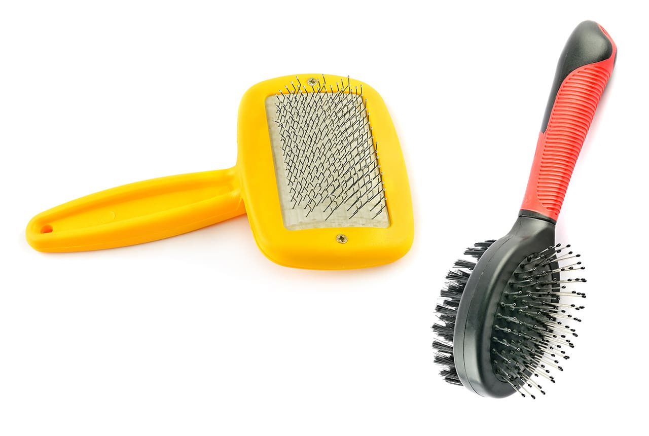 Dog Grooming Brushes